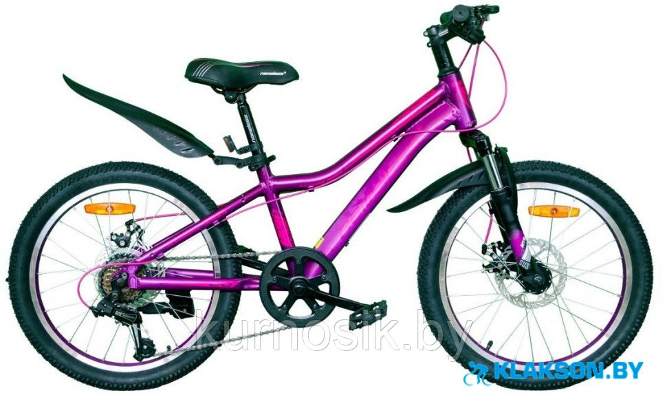 Подростковый велосипед Nameless J2200DW 20" фиолетовый 2021 г.