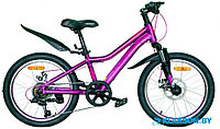 Подростковый велосипед Nameless J2200DW 20" фиолетовый 2021 г.