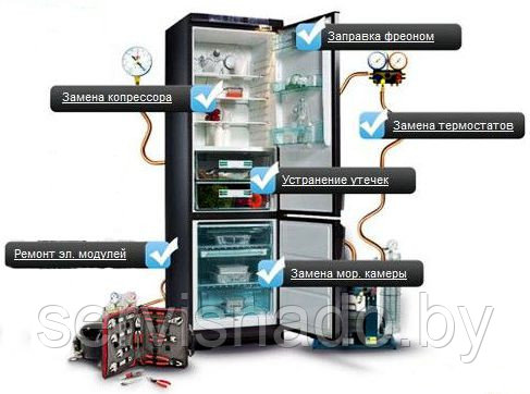 Ремонт холодильников и морозильников в Лиде - фото 1 - id-p13168313
