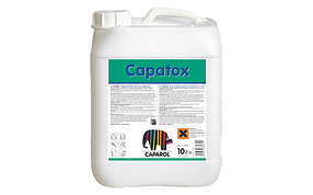 Раствор биоцидный Capatox (Капатокс) 10 л.