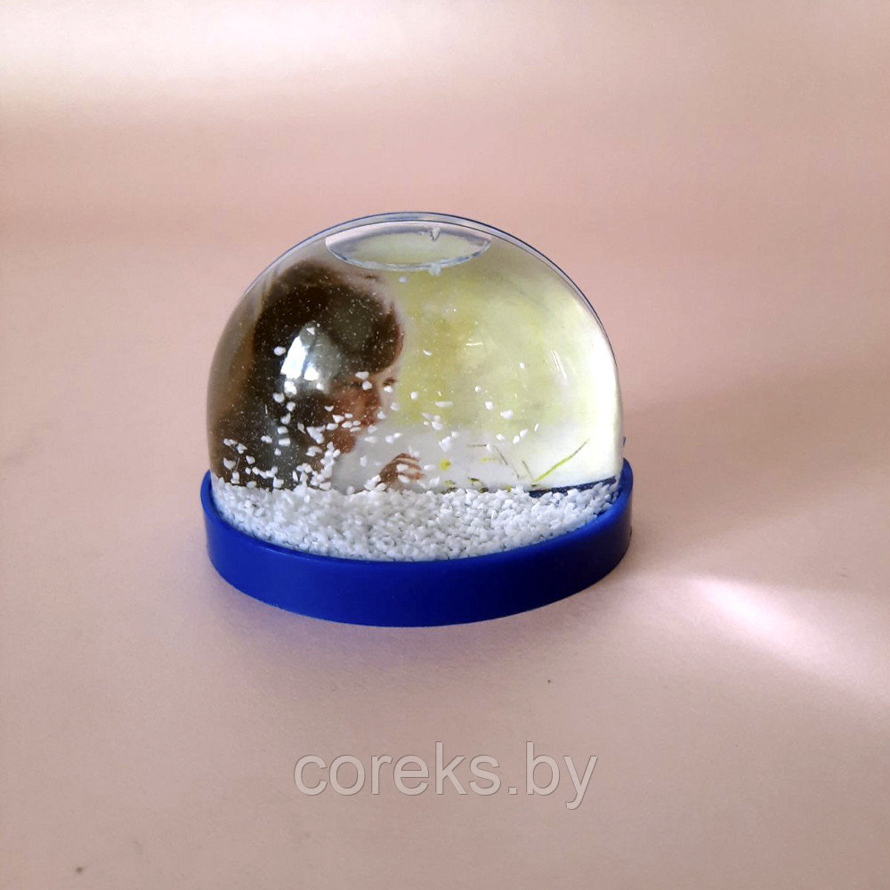 Снежный шар с Вашим фото на магните - фото 1 - id-p36259098