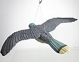 Визуальный отпугиватель птиц Сокол летящий, фото 3