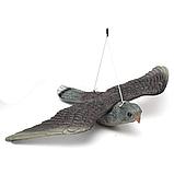 Визуальный отпугиватель птиц Сокол летящий, фото 4