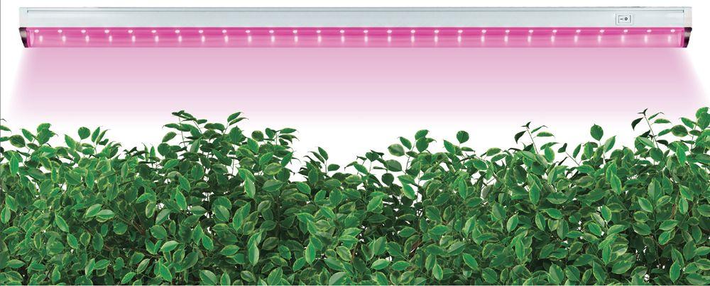 Светодиодный фито светильник для растений 12W пластик IP40 AL7000 - фото 5 - id-p151529250