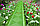 Газонная решетка ПВХ Альта-Профиль с дополнительным обрамлением 0.4*0.4м, зеленый, фото 2