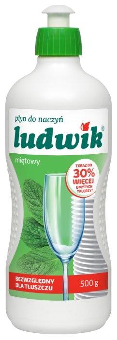 Средство для мытья посуды "Ludwik" Мята (250 г, 500 г)