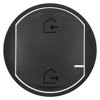 Netatmo-Celiane-Лицевая панель для главного беспроводного выключателя Я дома/Я вне дома, графит