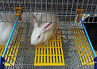 Трапик для кроликов, фото 10