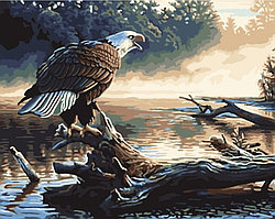 Набор для рисования картины по номерам "Утренняя охота"