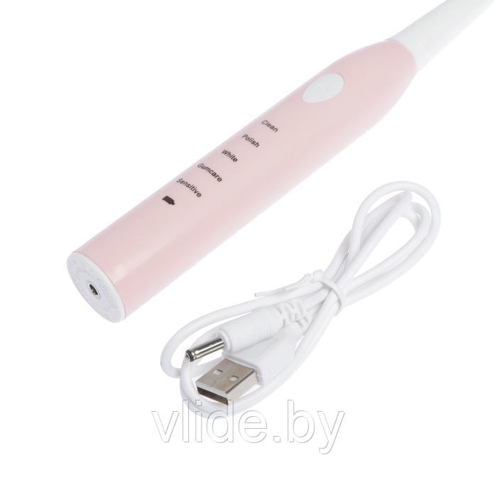 Электрическая зубная щётка LuazON LP-002, вибрационная, 4 насадки, от АКБ, USB, розовая - фото 6 - id-p151851479