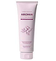 Маска для волос Pedison АРОНИЯ Institute-beaut Aronia Color Protection Treatment, 100 мл