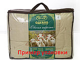 Облегченное овечье одеяло "Престиж" "Бэлио" Евро (210х220см), фото 5