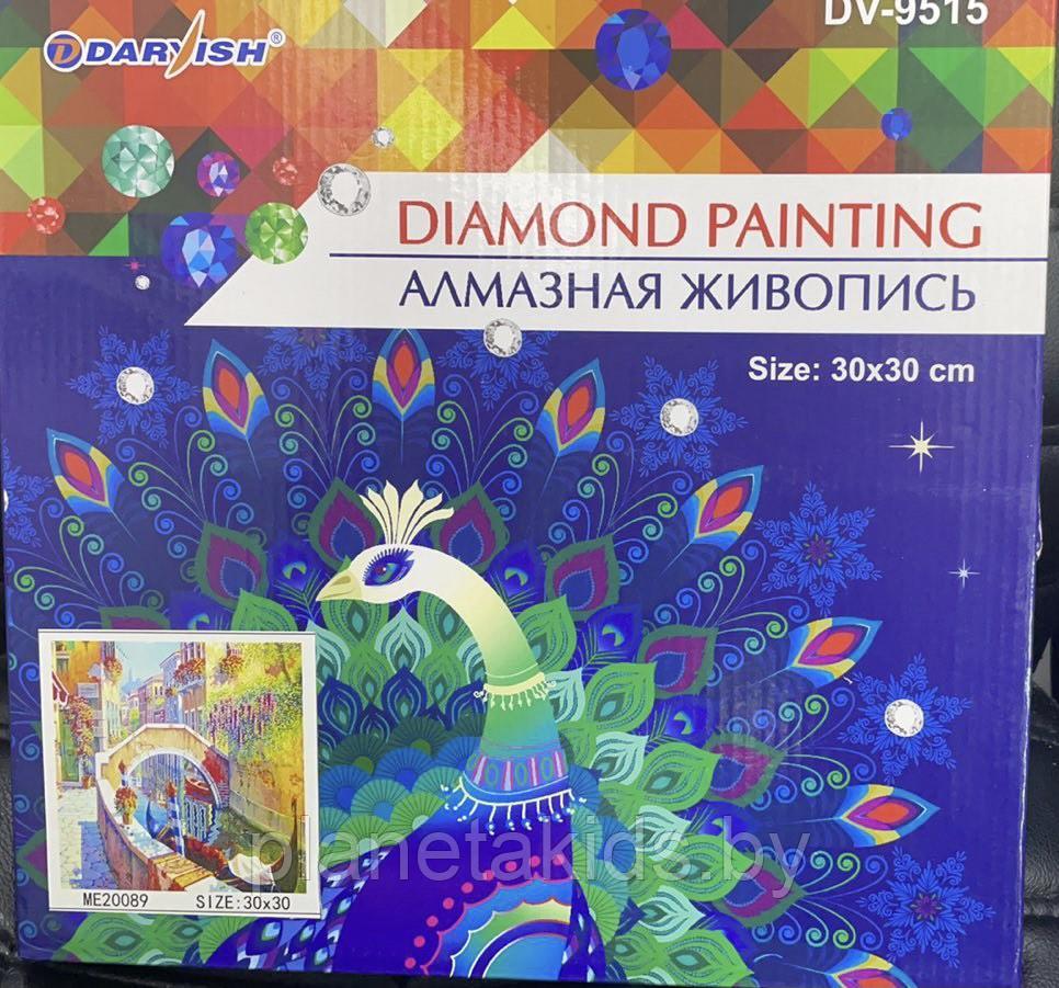 Алмазная мозаика Darvish 30х30 см на подрамнике - фото 9 - id-p151950512