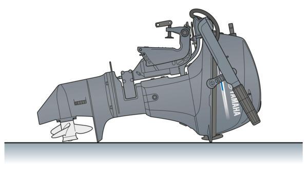 Лодочный мотор Yamaha F9.9JMHS - фото 6 - id-p34879082