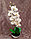 Искусственные орхидеи (1 ветка), фото 2