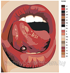 Картина по номерам, 40 x 50, RA368