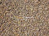 Песок сеянный в Минске и Минской области, фото 2