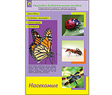 Дидактическое пособие. Насекомые, фото 2