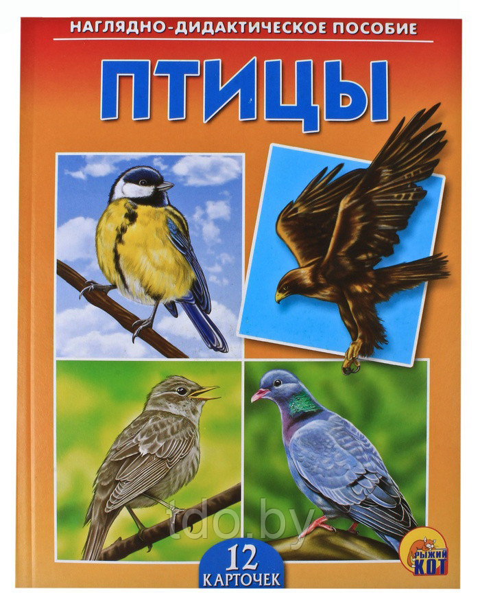 Дидактическое пособие. Птицы