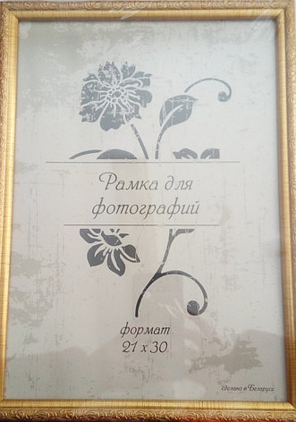 Фоторамка пластиковая со стеклом, 21 х 30, фото 2