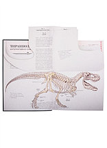 Тираннозавр рекс. Интерактивная книга-панорама, фото 2