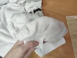 Котенок Чи взрослый. Дефект: розовое пятно, фото 4