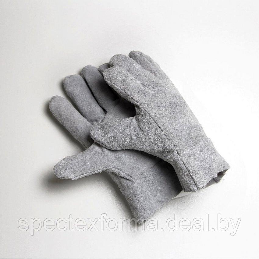 Перчатки спилковые пятипалые Элит - фото 1 - id-p152541770