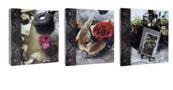 Фотоальбом 50 "магнитных"листов 23X28см, DRS-50 TIME 3