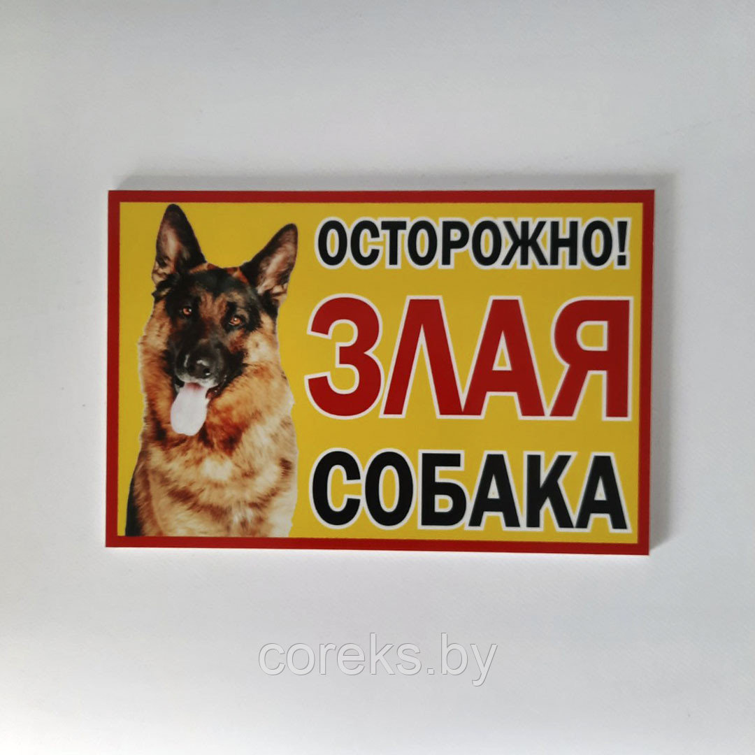 Табличка "Осторожно злая собака" ( 24*16 см) - фото 1 - id-p114946176