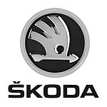 SKODA CITIGO (2011-2020) коврики в салон и багажник