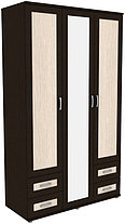 Шкаф для одежды с зеркалом 513.10 модульная система Гарун (3 варианта цвета) фабрика Уют сервис, фото 3