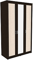 Шкаф для одежды с зеркалом 513.12 модульная система Гарун (3 варианта цвета) фабрика Уют сервис, фото 2