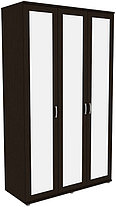 Шкаф для одежды с зеркалами 513.02 модульная система Гарун (3 варианта цвета) фабрика Уют сервис, фото 2
