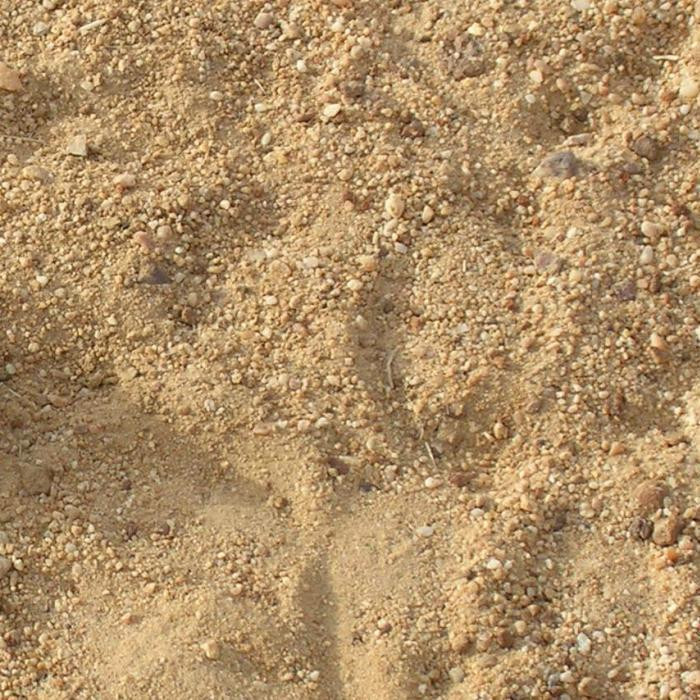 Пгс, песок сеяный, гравий, щебень купить - фото 1 - id-p13678800