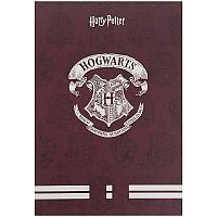 Блокнот-планшет Kite Harry Potter HP21-194-1