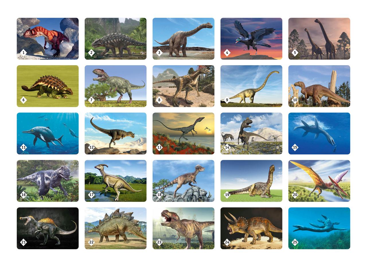 Настольная игра Мемо "Мир динозавров" - фото 2 - id-p152829662