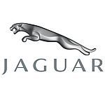 JAGUAR F-PACE (2016-) коврики в салон и багажник