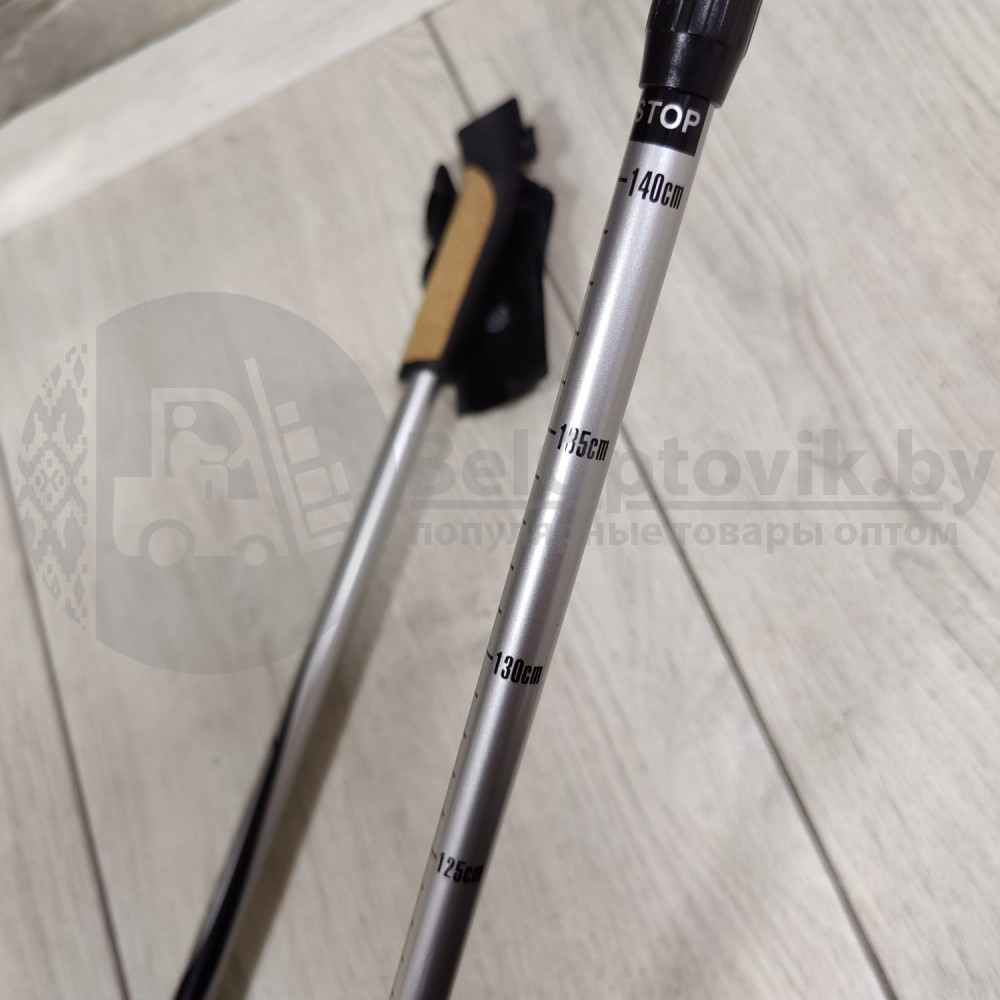 Телескопические палки для скандинавской ходьбы Nordic Walking Carbon 60, 2 шт - фото 5 - id-p153187591