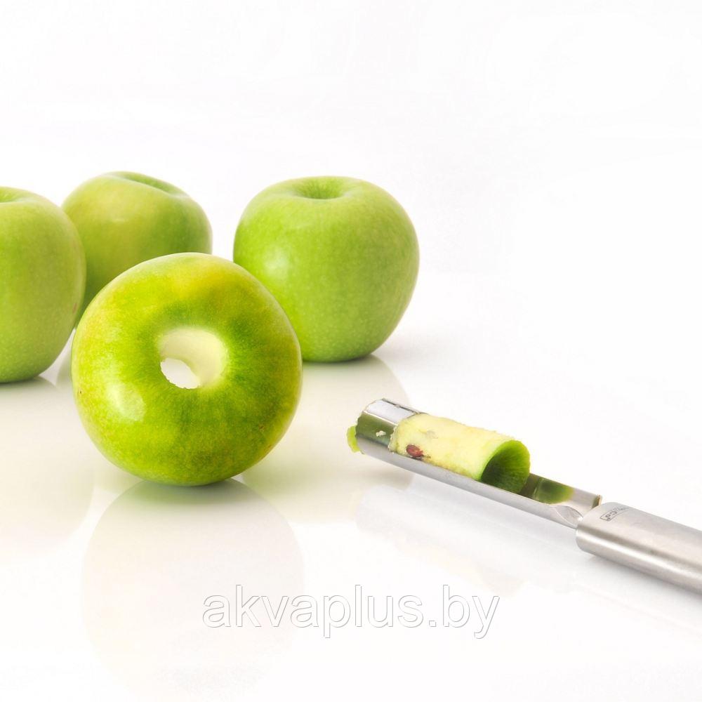 Нож для выемки сердцевины яблока Essentials 1301052 - фото 2 - id-p153368836
