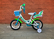 Велосипед детский Stels Echo 12" V020 белый/морская волна, фото 2