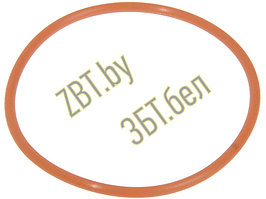 Уплотнительное кольцо бойлера для кофеварки DeLonghi 533216