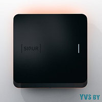 Считыватель Sigur MR100