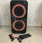 Профессиональная акустическая система ELtronic Dance box 300 (Два динамика по 10 дюймов, FM-радио, караоке,, фото 2