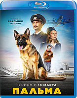 Пальма (BLU RAY Видео-фильм)