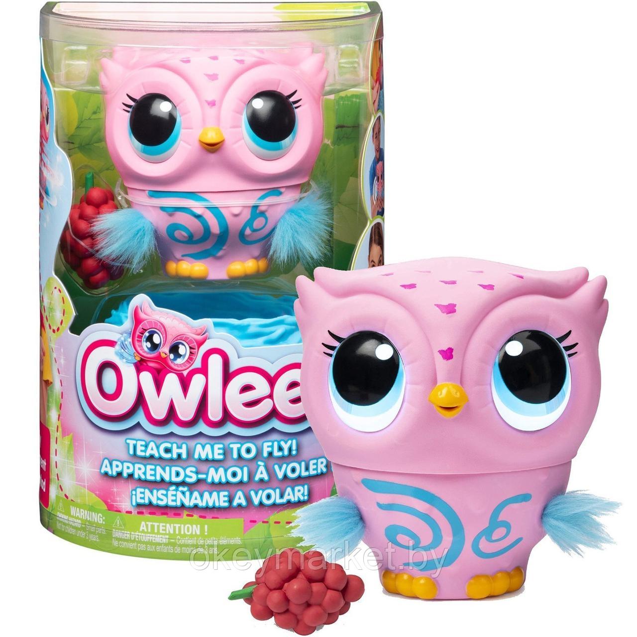 Интерактивная игрушка Spin Master Совенок Owleez