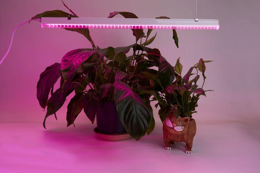 Светодиодный светильник для растений Feron AL7001, спектр фотосинтез (красно-синий) 9W, пластик - фото 3 - id-p153984579