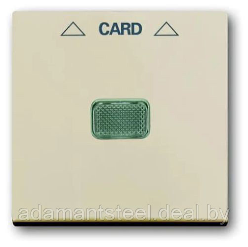 Basic 55 - Лицевая панель для выключателя с ключом-карточкой механизм 2025U (сл.кость) - фото 1 - id-p138599830
