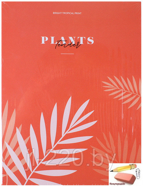 Тетрадь на кольцах А5 ArtSpace Bright coral, 120 листов