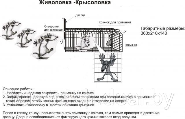 Крысоловка «Живоловка» - фото 1 - id-p13960771