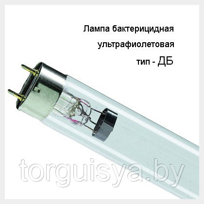 Лампа бактерицидная ДБ 30 Т8 G13 - фото 1 - id-p154306333